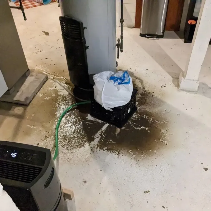 Sewage Backup Cleanup Service in Villa Ridge, MO